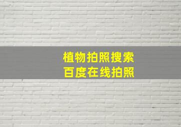 植物拍照搜索 百度在线拍照